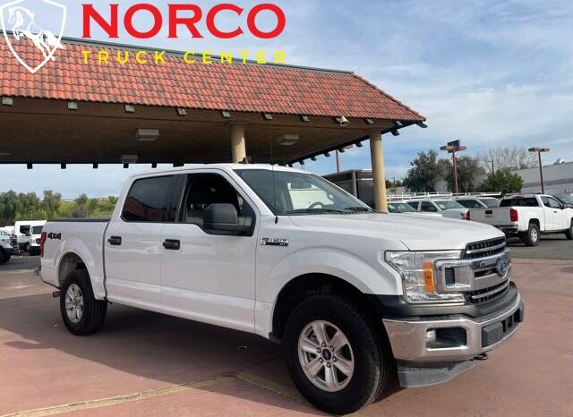 
								Ford F-150 XL 2019 full									