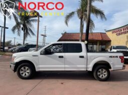
										Ford F-150 XL 2019 full									