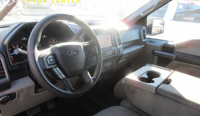 
								Ford F-150 XL 2019 full									