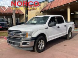 
										Ford F-150 XL 2019 full									